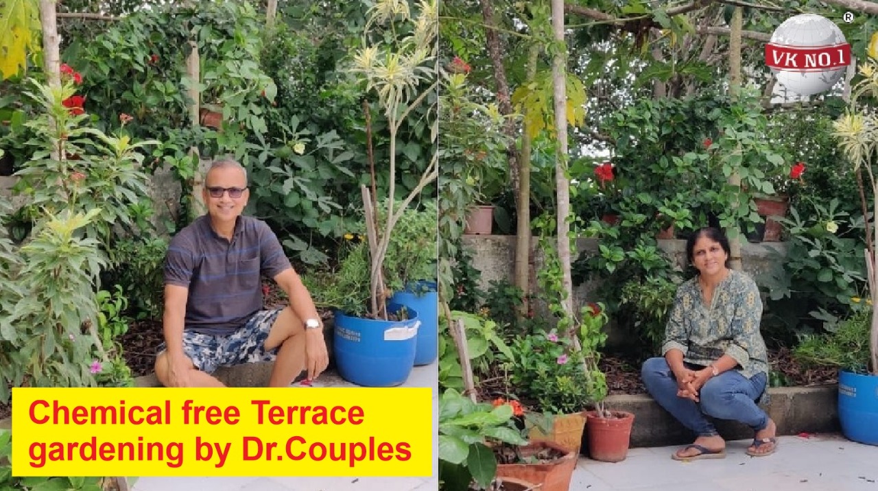 Terrace Farming By Dr.Couple